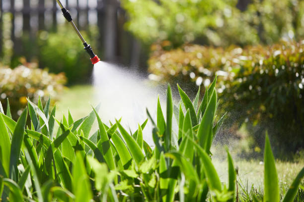 24/7 Emergency Cockroach Control experts in Temple City, CA